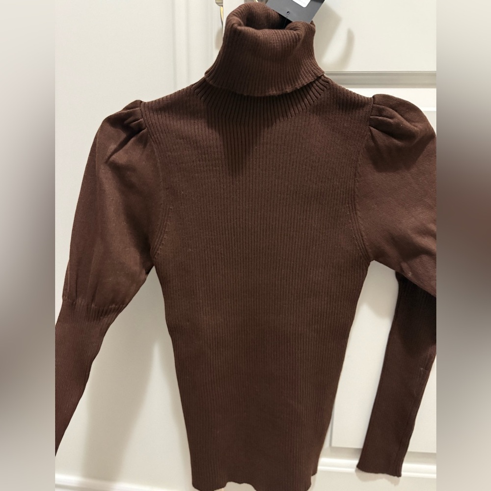 Fashion Nova Brown Turtleneck Sweater
